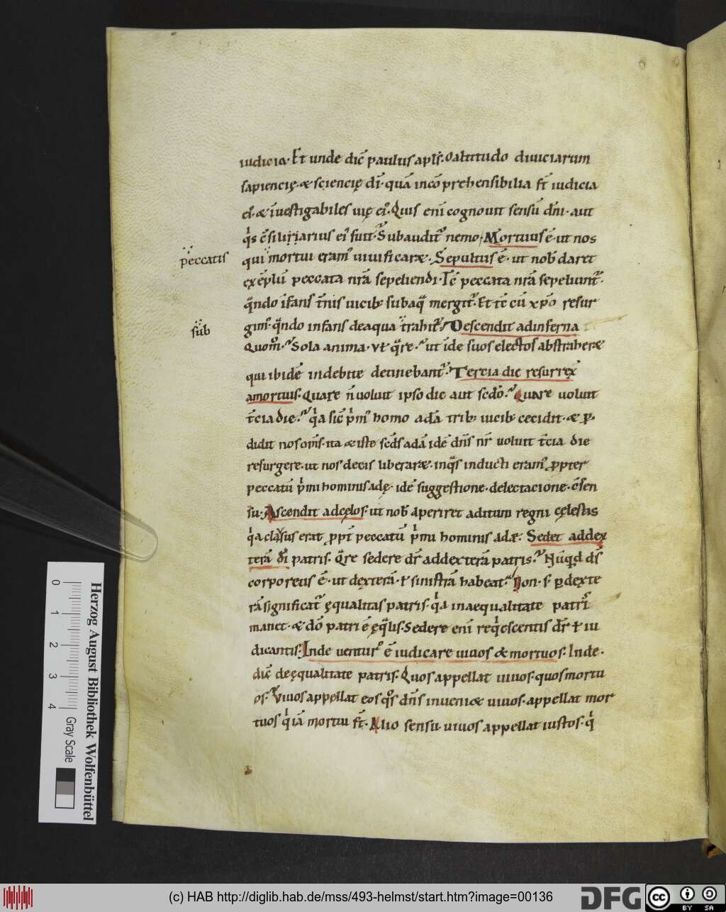 http://diglib.hab.de/mss/493-helmst/00136.jpg