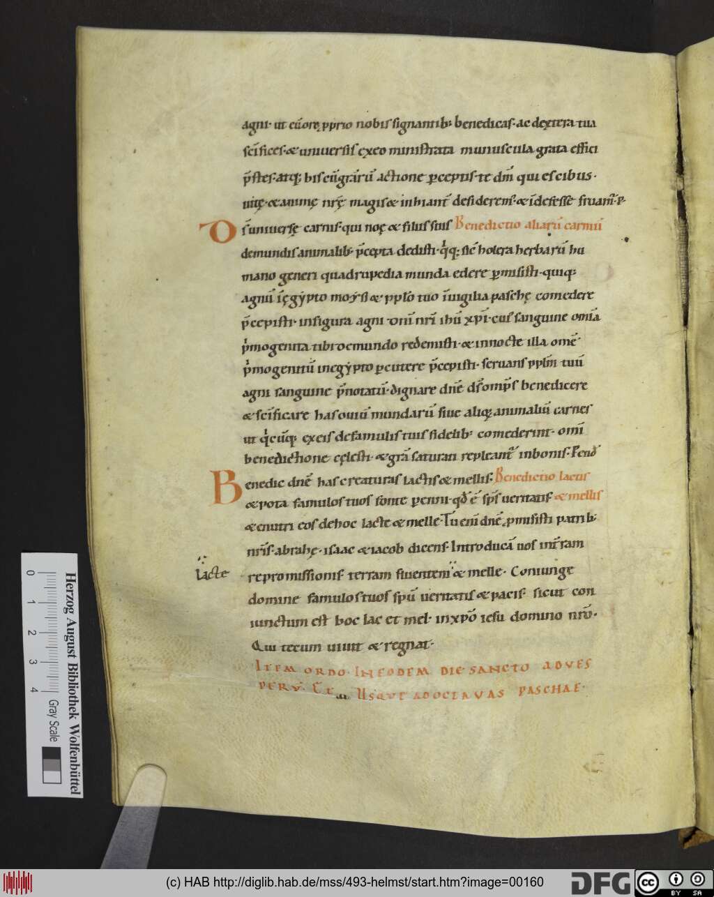 http://diglib.hab.de/mss/493-helmst/00160.jpg