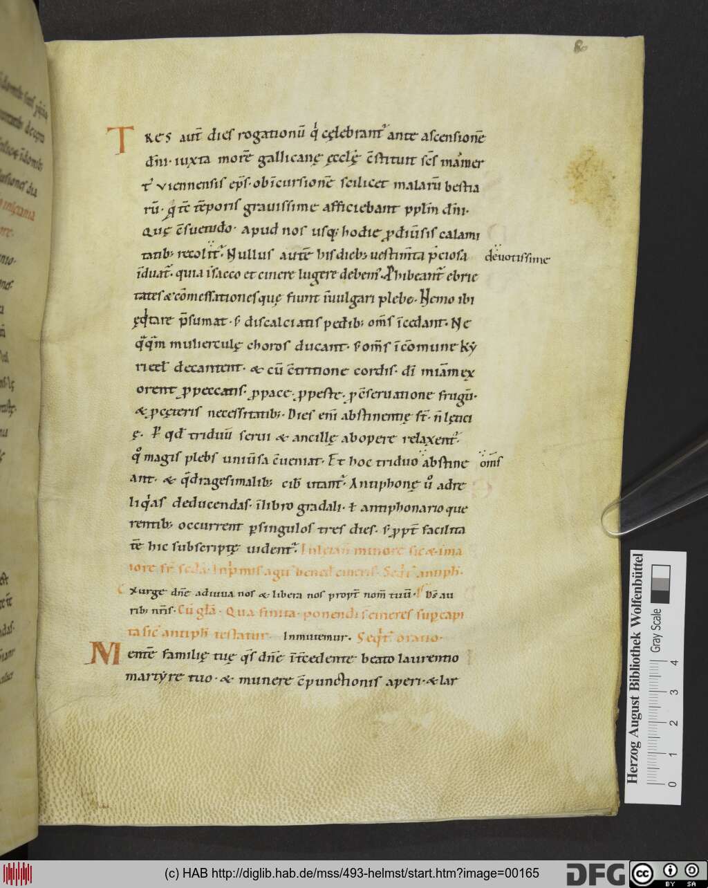 http://diglib.hab.de/mss/493-helmst/00165.jpg