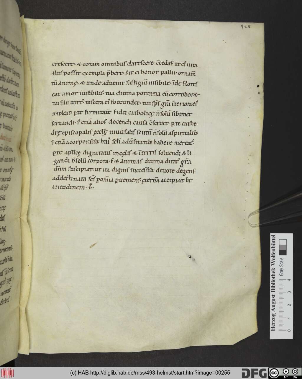 http://diglib.hab.de/mss/493-helmst/00255.jpg