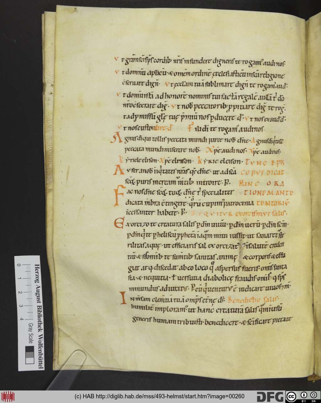 http://diglib.hab.de/mss/493-helmst/00260.jpg