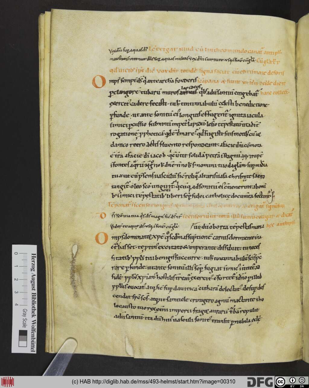 http://diglib.hab.de/mss/493-helmst/00310.jpg