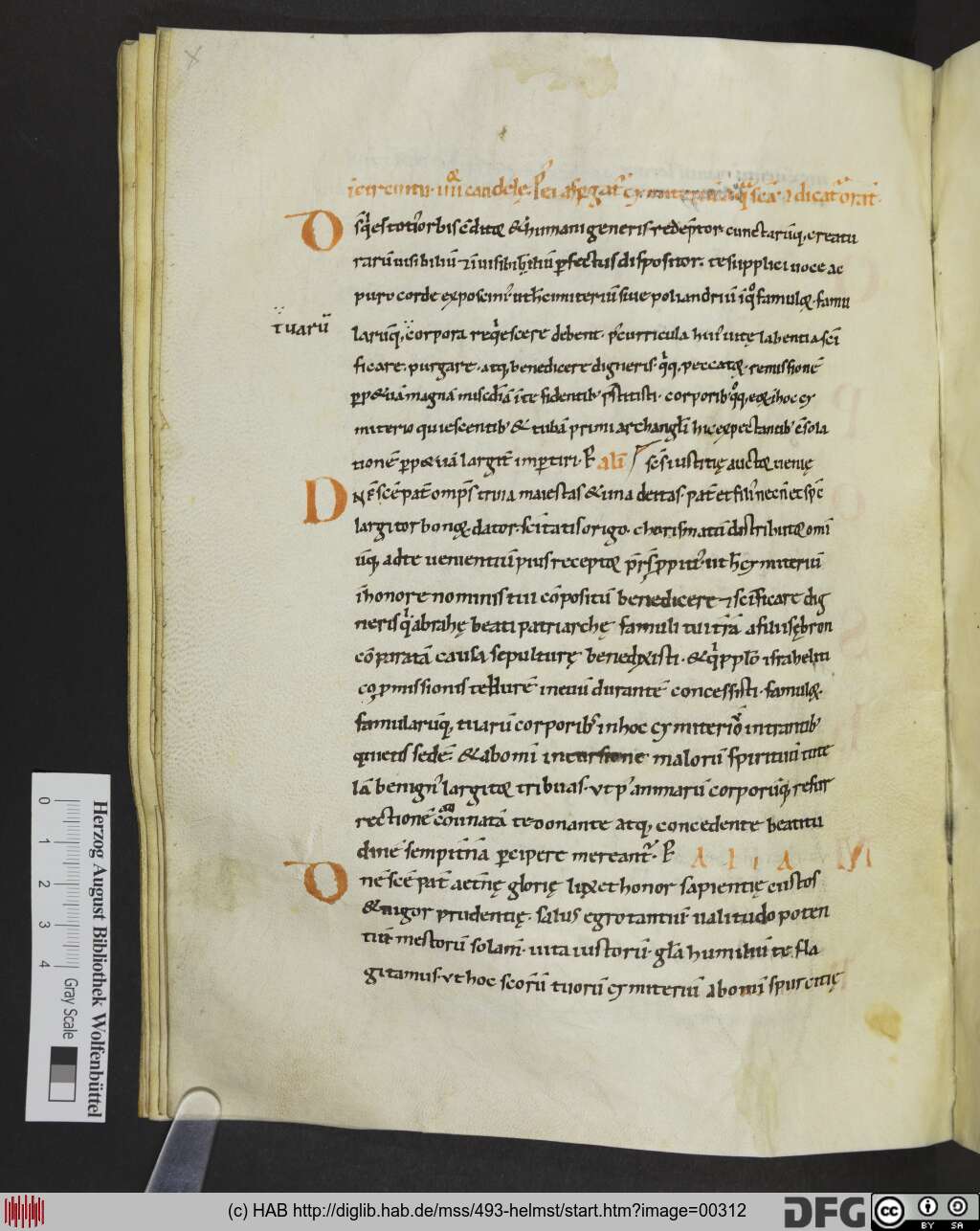 http://diglib.hab.de/mss/493-helmst/00312.jpg