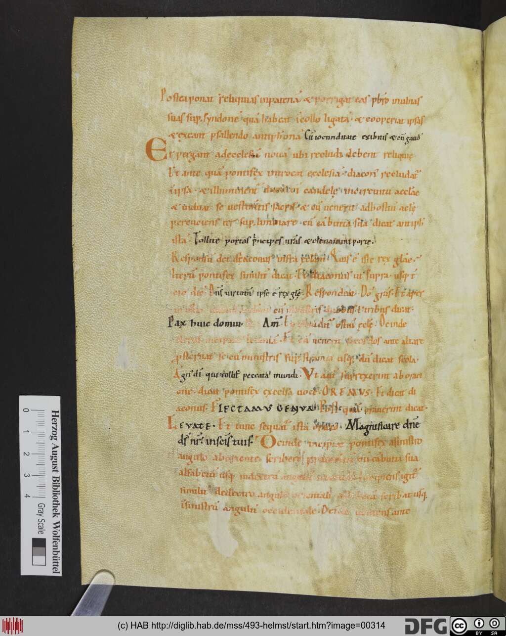 http://diglib.hab.de/mss/493-helmst/00314.jpg