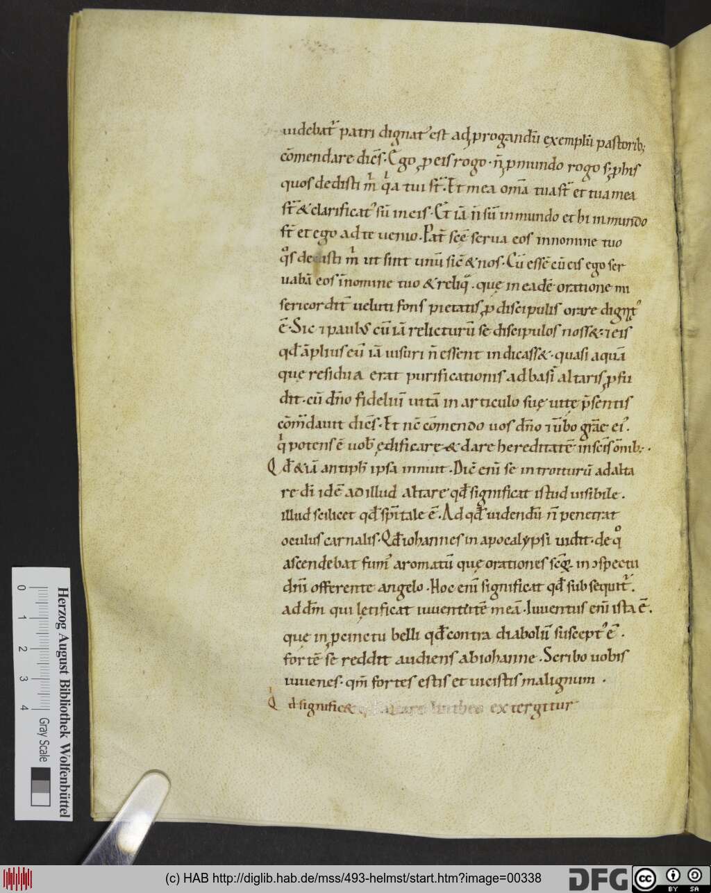 http://diglib.hab.de/mss/493-helmst/00338.jpg