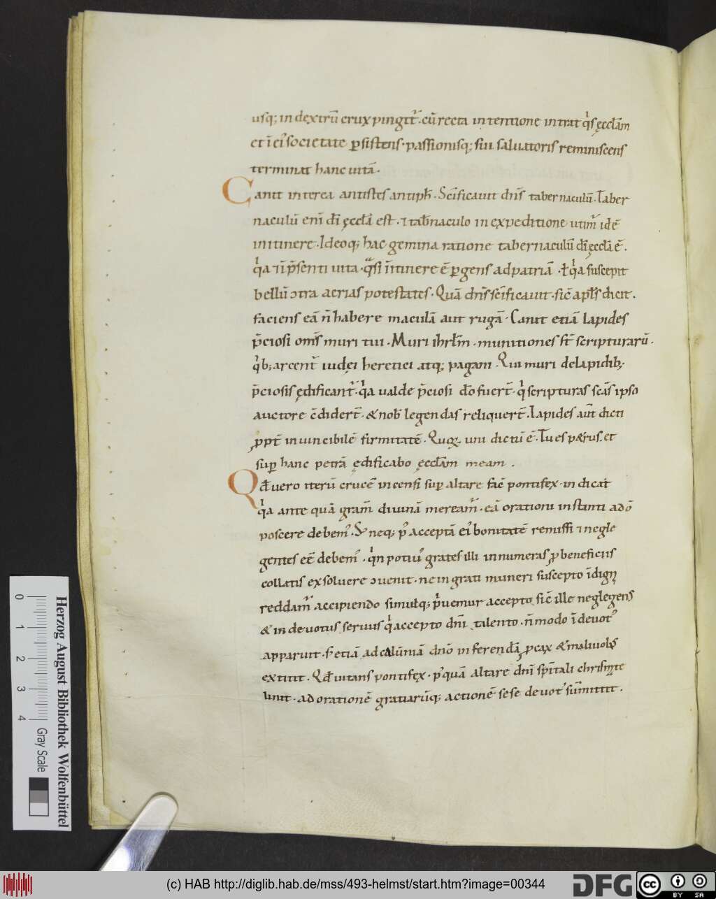http://diglib.hab.de/mss/493-helmst/00344.jpg