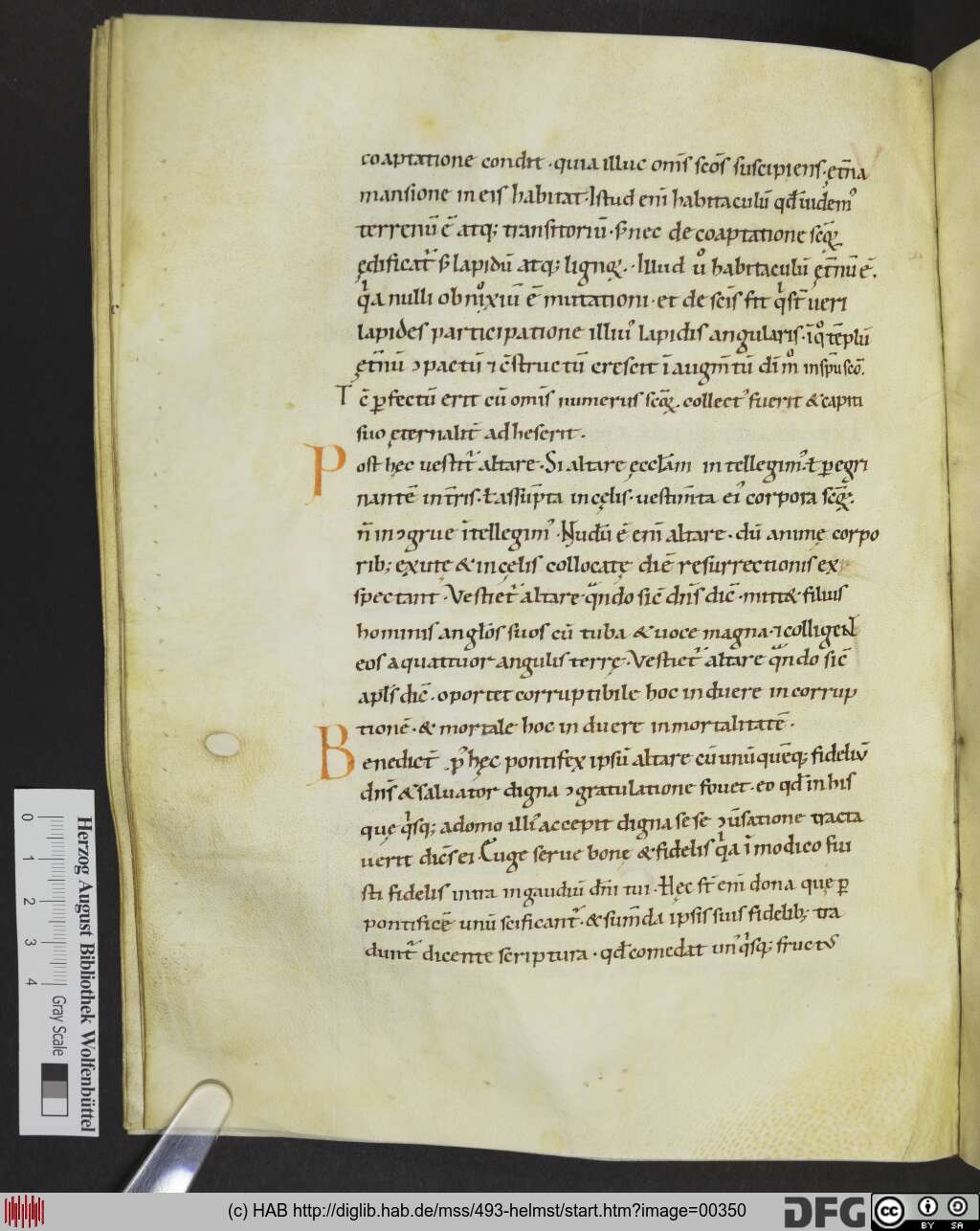 http://diglib.hab.de/mss/493-helmst/00350.jpg