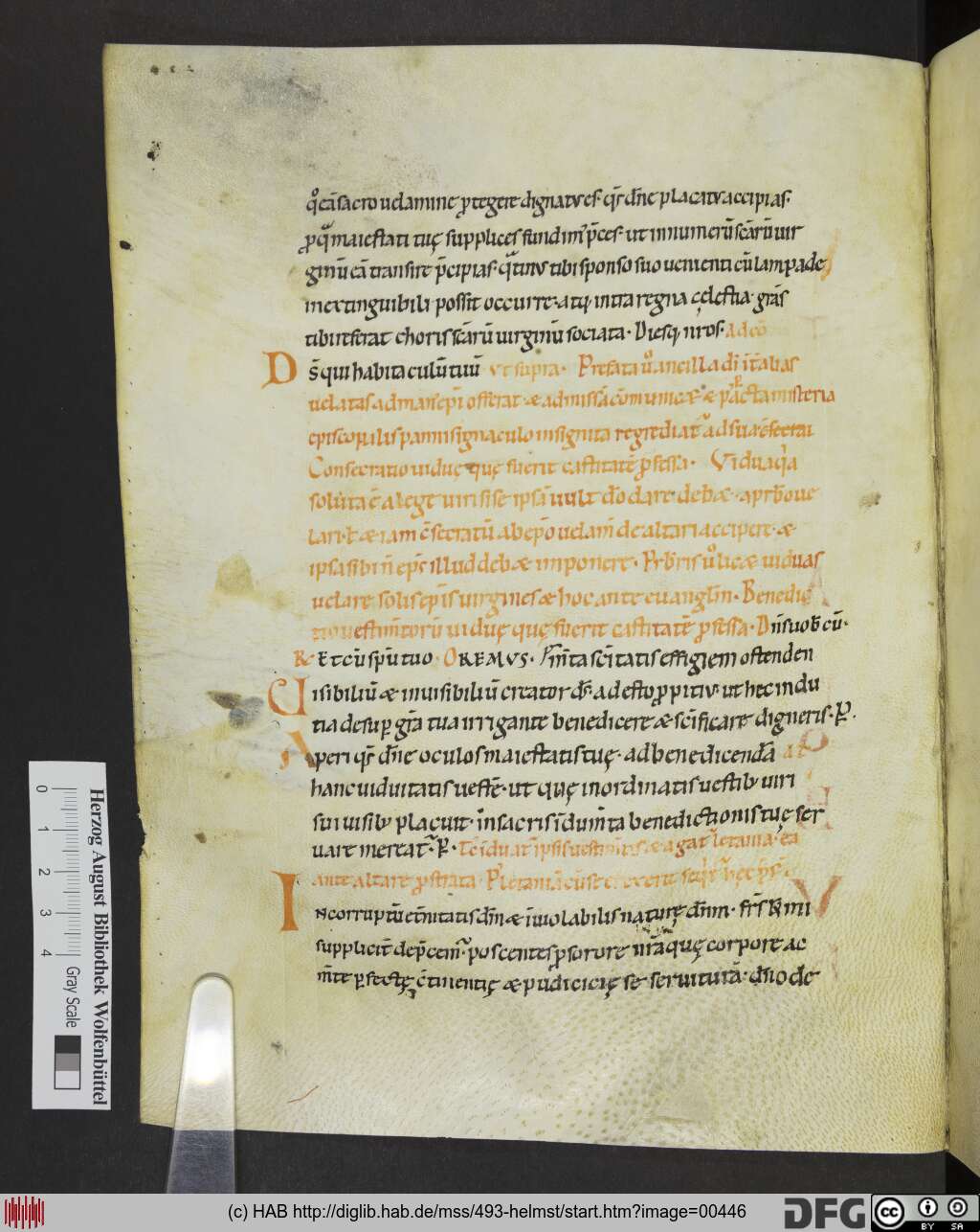 http://diglib.hab.de/mss/493-helmst/00446.jpg