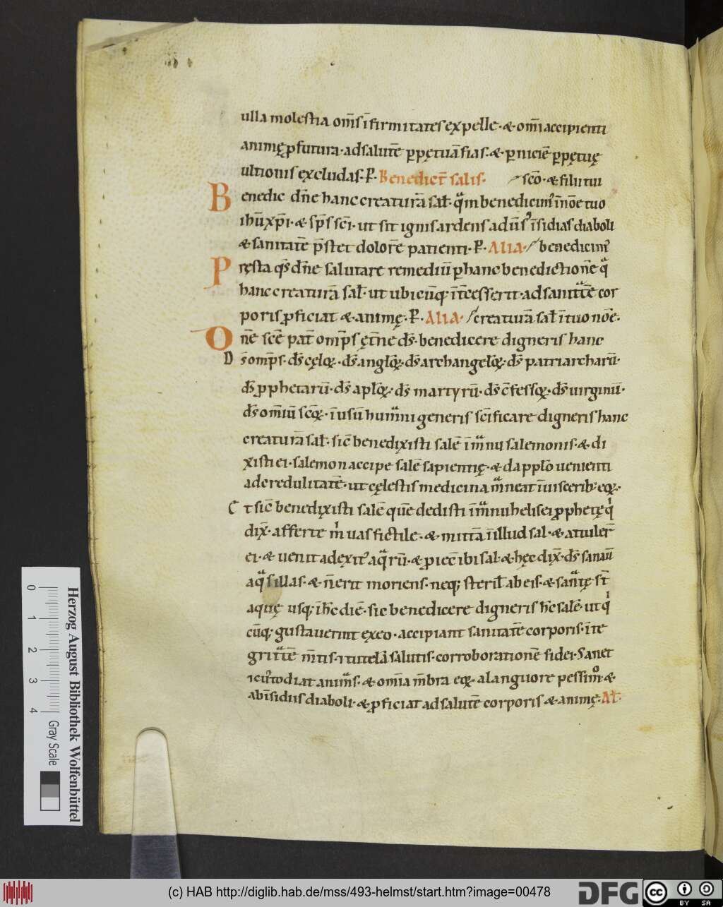 http://diglib.hab.de/mss/493-helmst/00478.jpg
