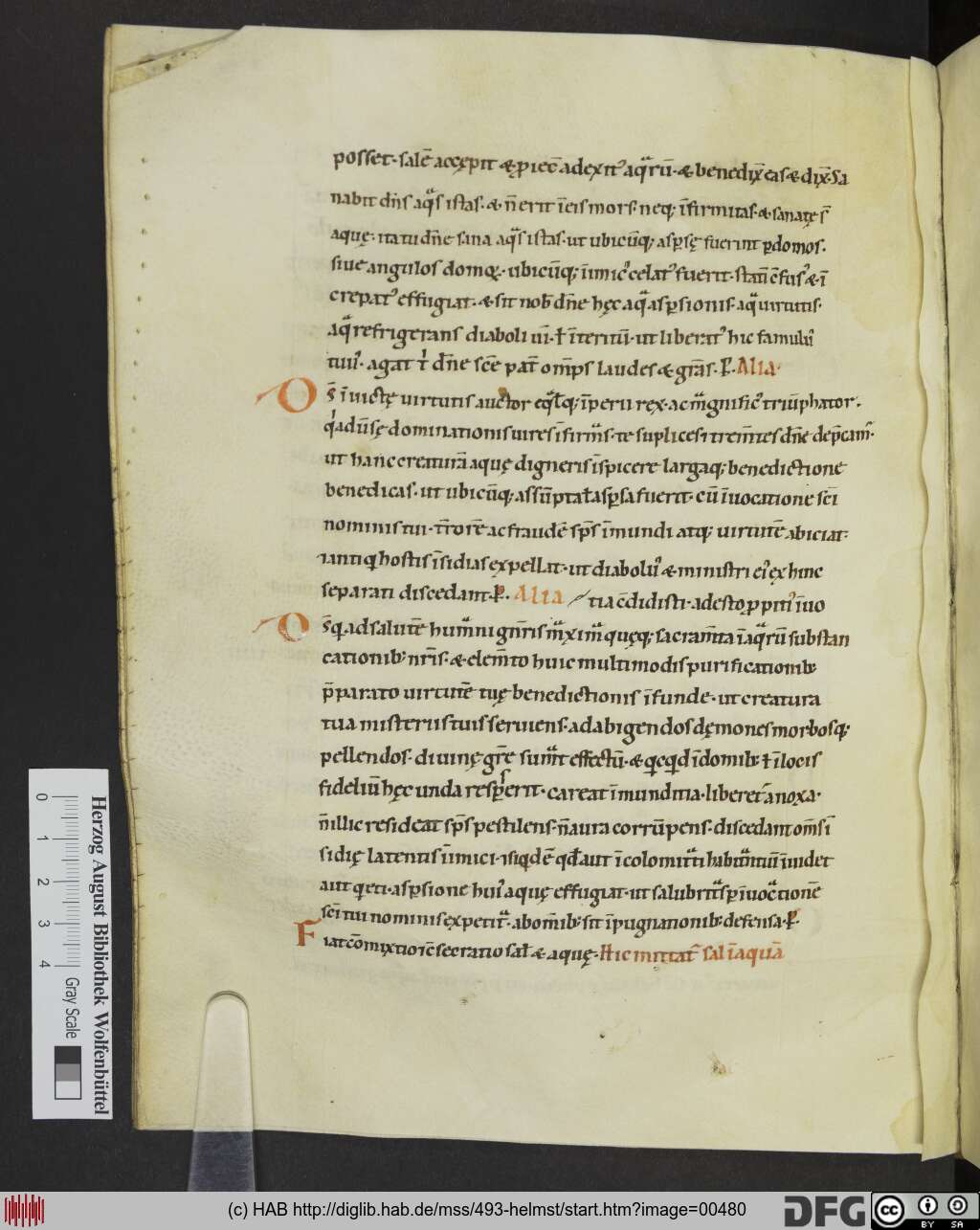 http://diglib.hab.de/mss/493-helmst/00480.jpg