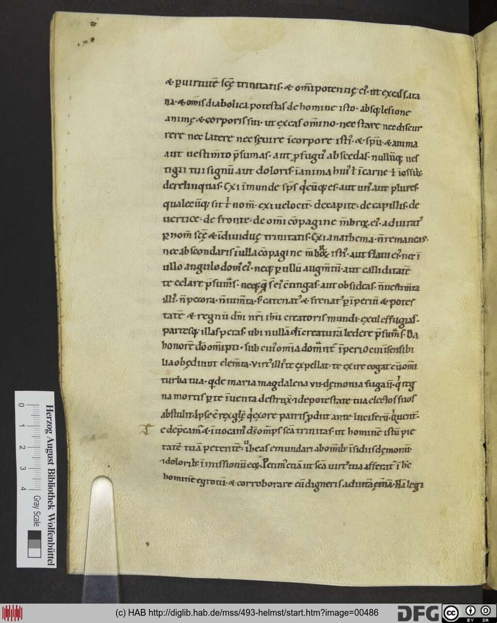 http://diglib.hab.de/mss/493-helmst/00486.jpg