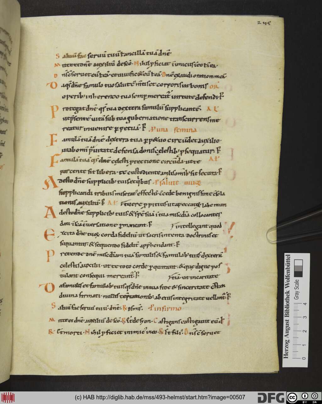 http://diglib.hab.de/mss/493-helmst/00507.jpg