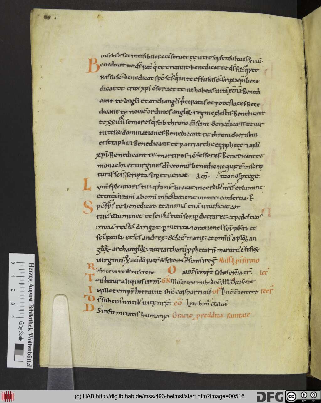 http://diglib.hab.de/mss/493-helmst/00516.jpg