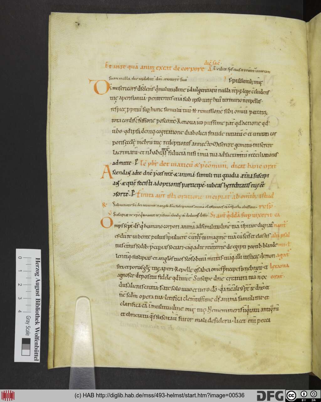 http://diglib.hab.de/mss/493-helmst/00536.jpg