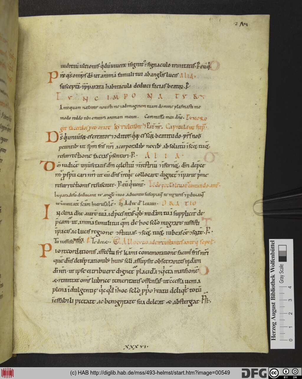 http://diglib.hab.de/mss/493-helmst/00549.jpg
