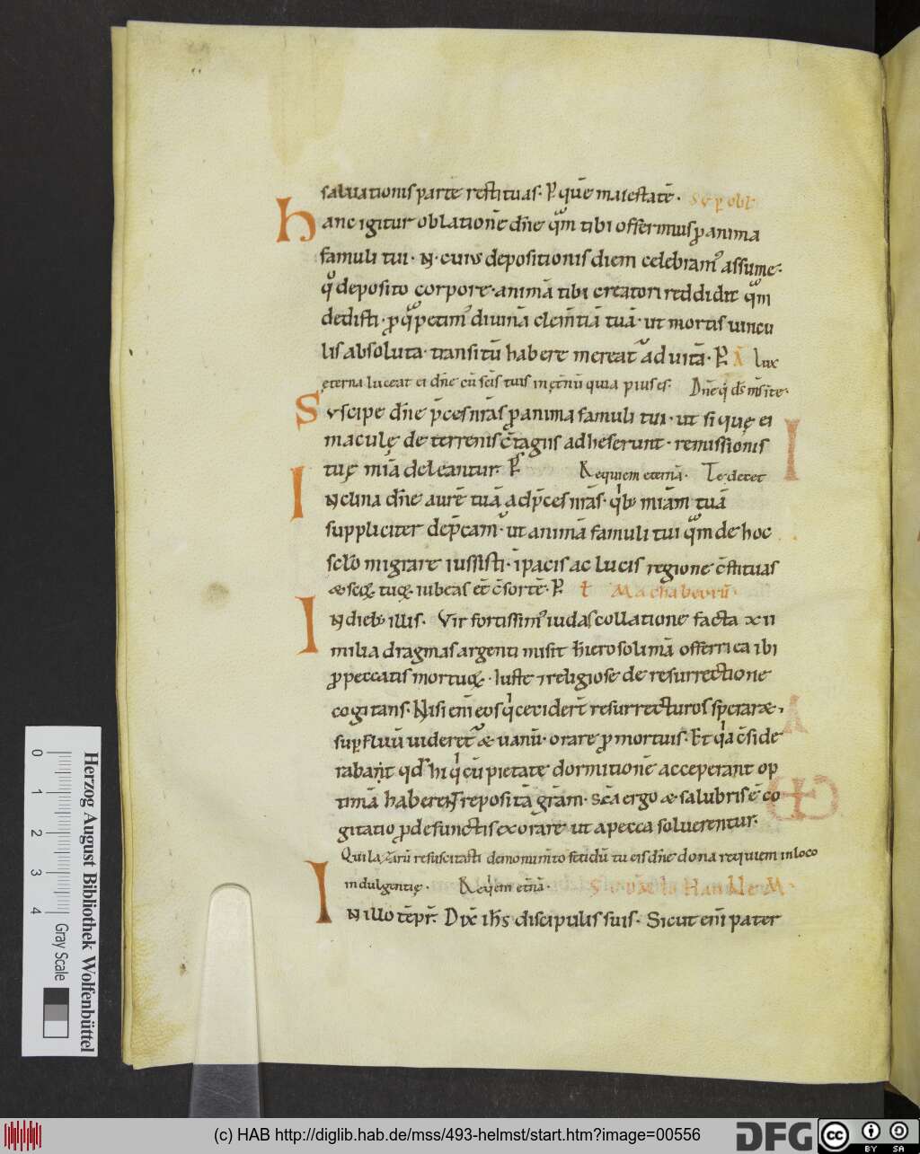 http://diglib.hab.de/mss/493-helmst/00556.jpg