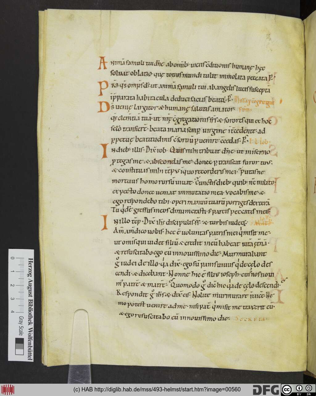 http://diglib.hab.de/mss/493-helmst/00560.jpg