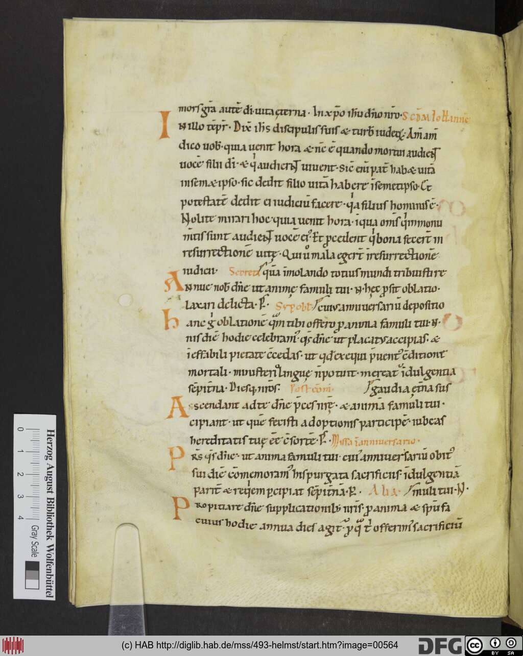 http://diglib.hab.de/mss/493-helmst/00564.jpg
