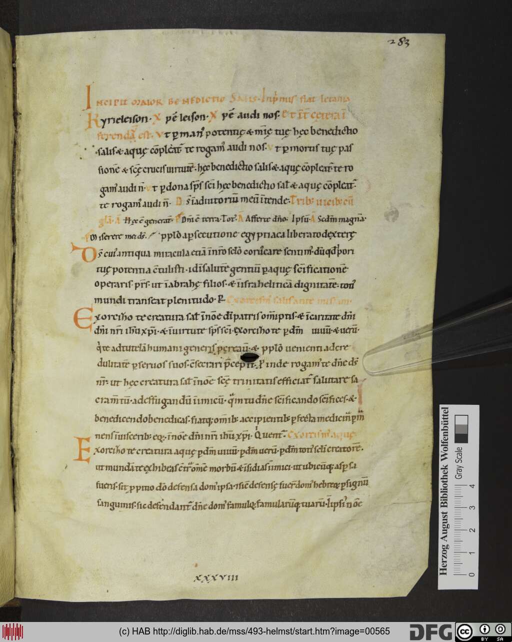 http://diglib.hab.de/mss/493-helmst/00565.jpg