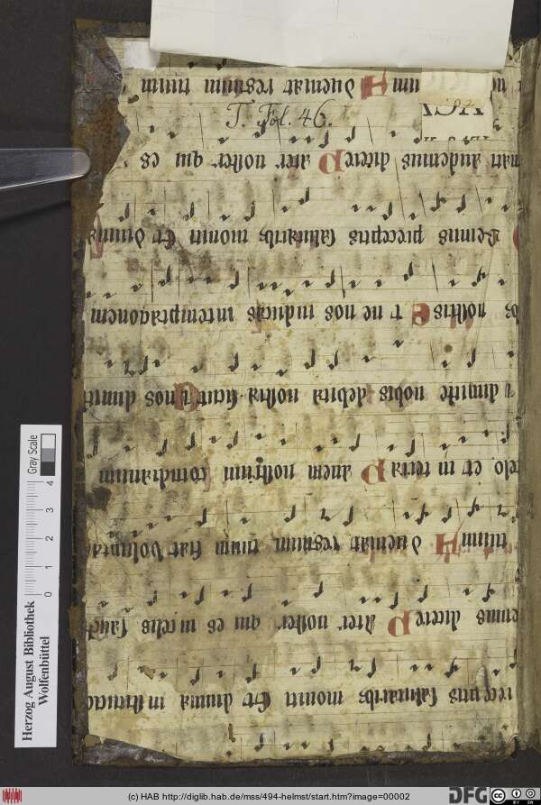 http://diglib.hab.de/mss/494-helmst/min/00002.jpg