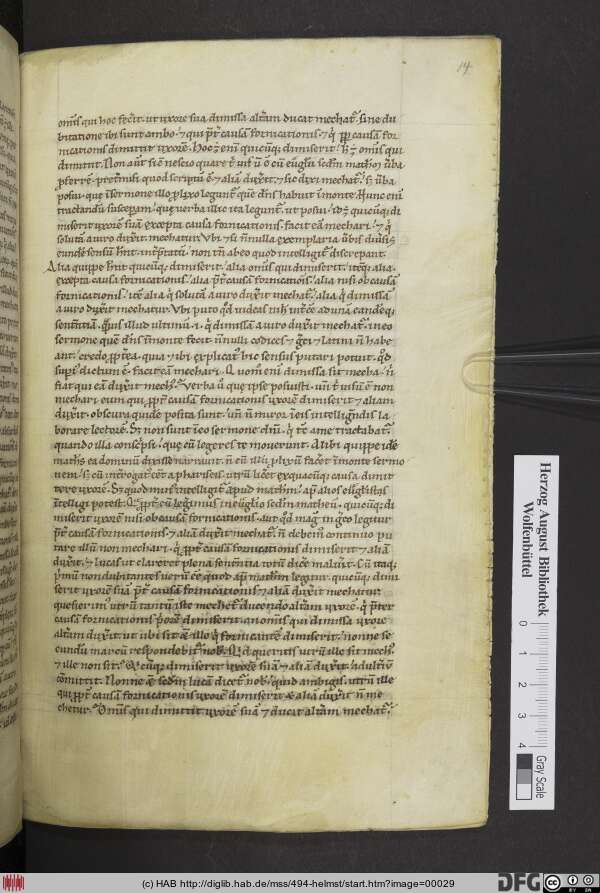 http://diglib.hab.de/mss/494-helmst/min/00029.jpg