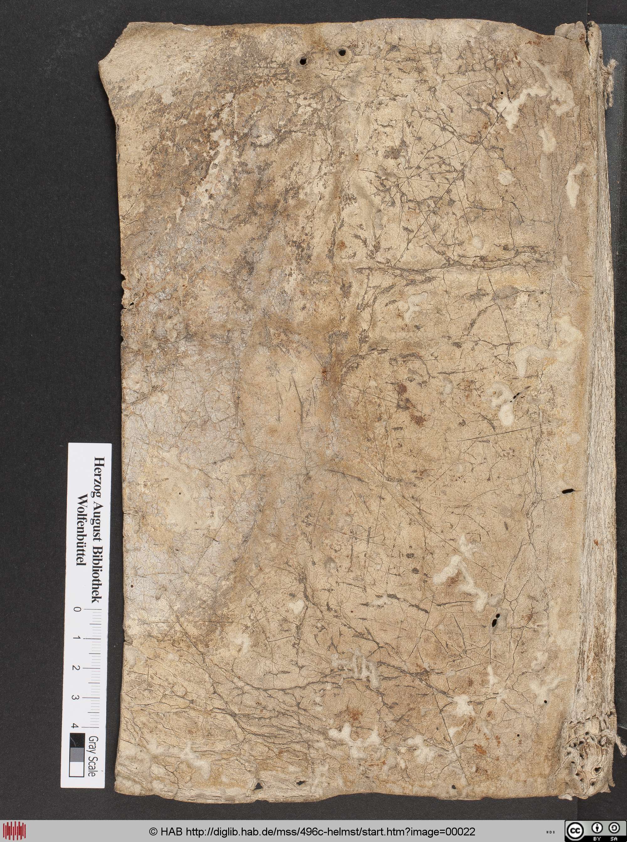 http://diglib.hab.de/mss/496c-helmst/max/00022.jpg