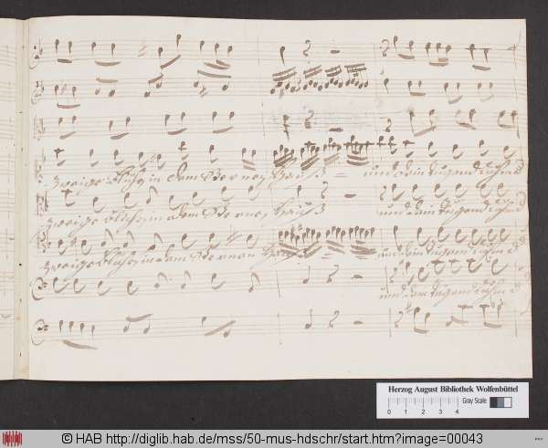 http://diglib.hab.de/mss/50-mus-hdschr/min/00043.jpg
