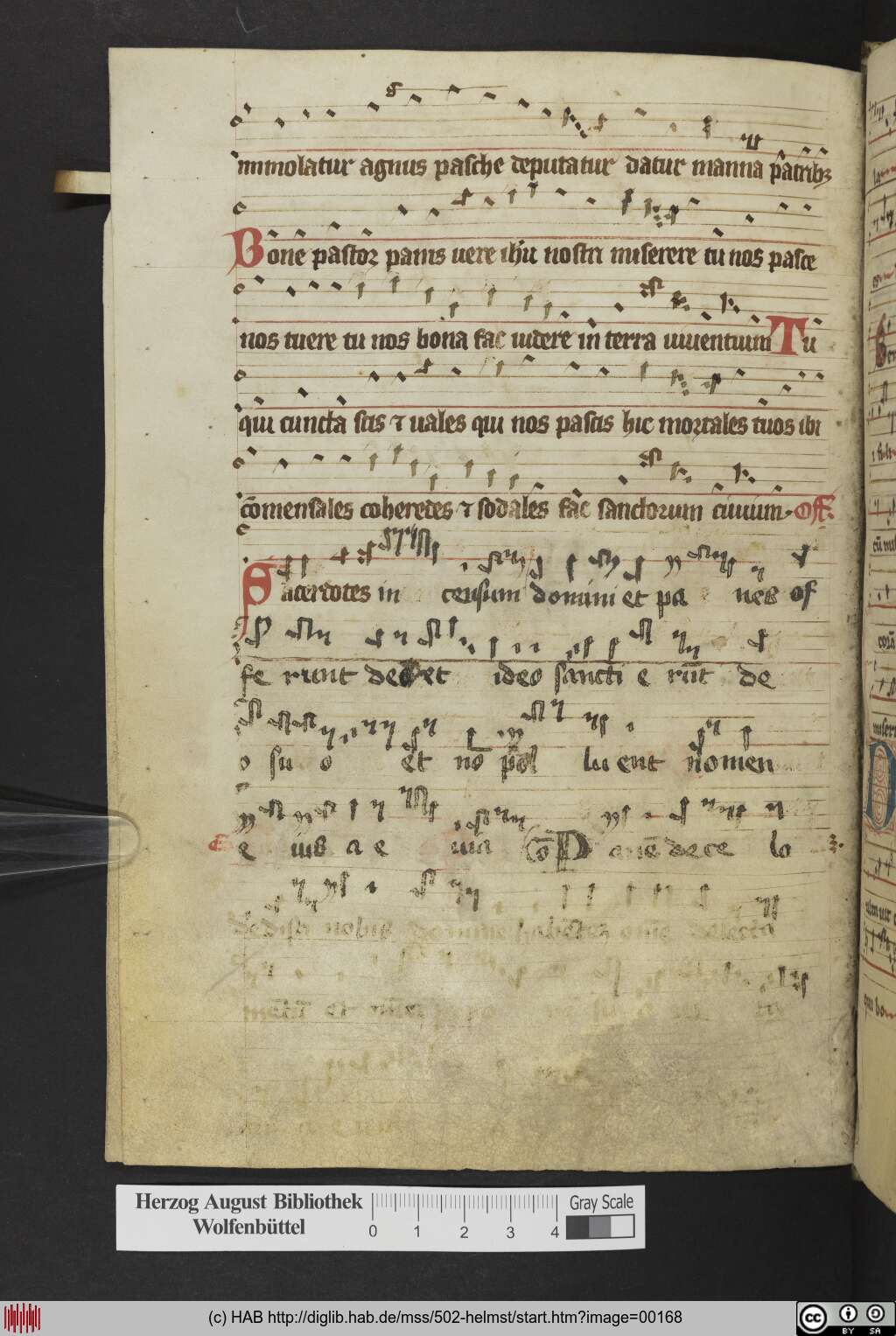 http://diglib.hab.de/mss/502-helmst/00168.jpg