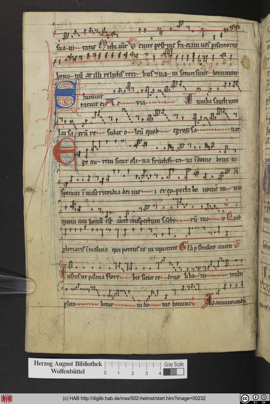 http://diglib.hab.de/mss/502-helmst/00232.jpg