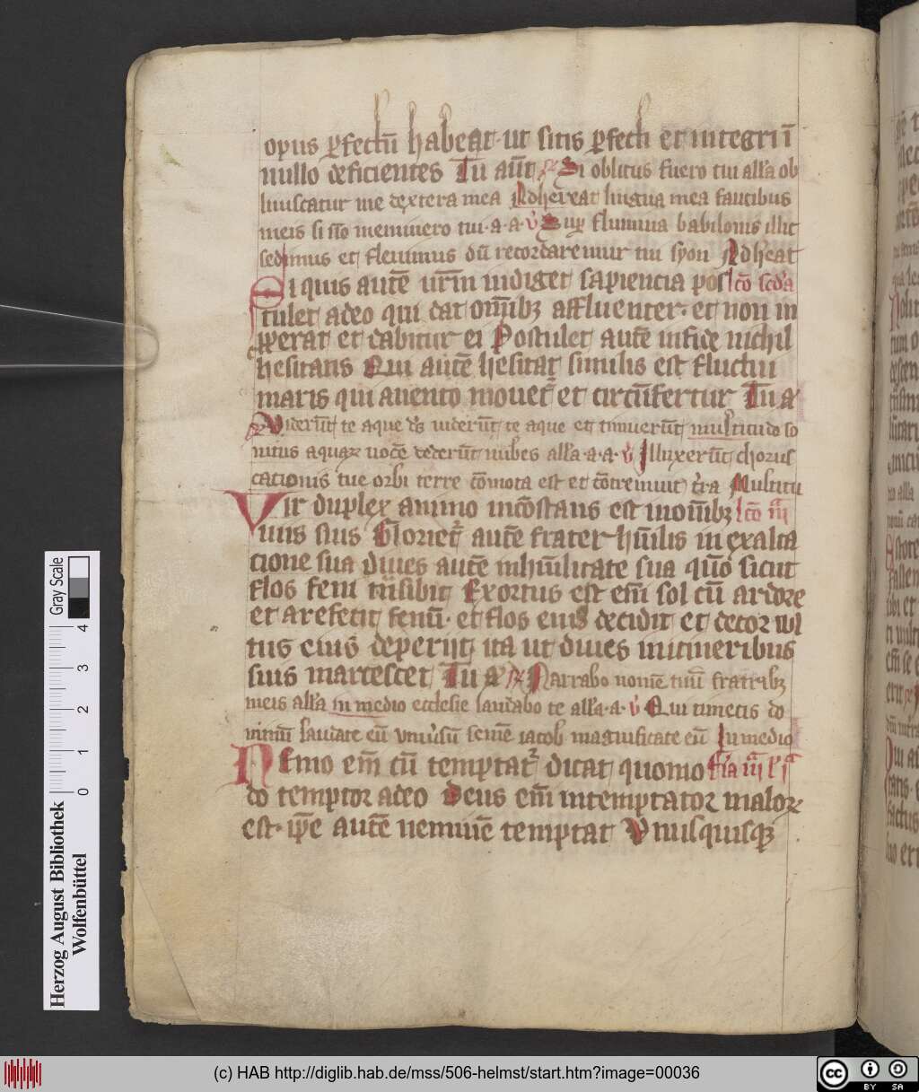 http://diglib.hab.de/mss/506-helmst/00036.jpg