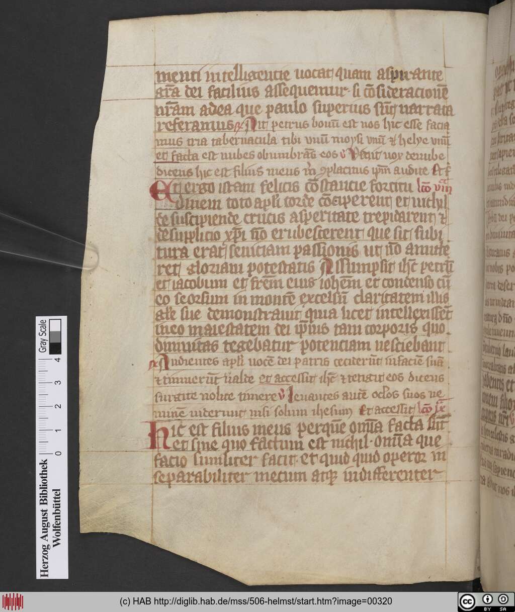 http://diglib.hab.de/mss/506-helmst/00320.jpg