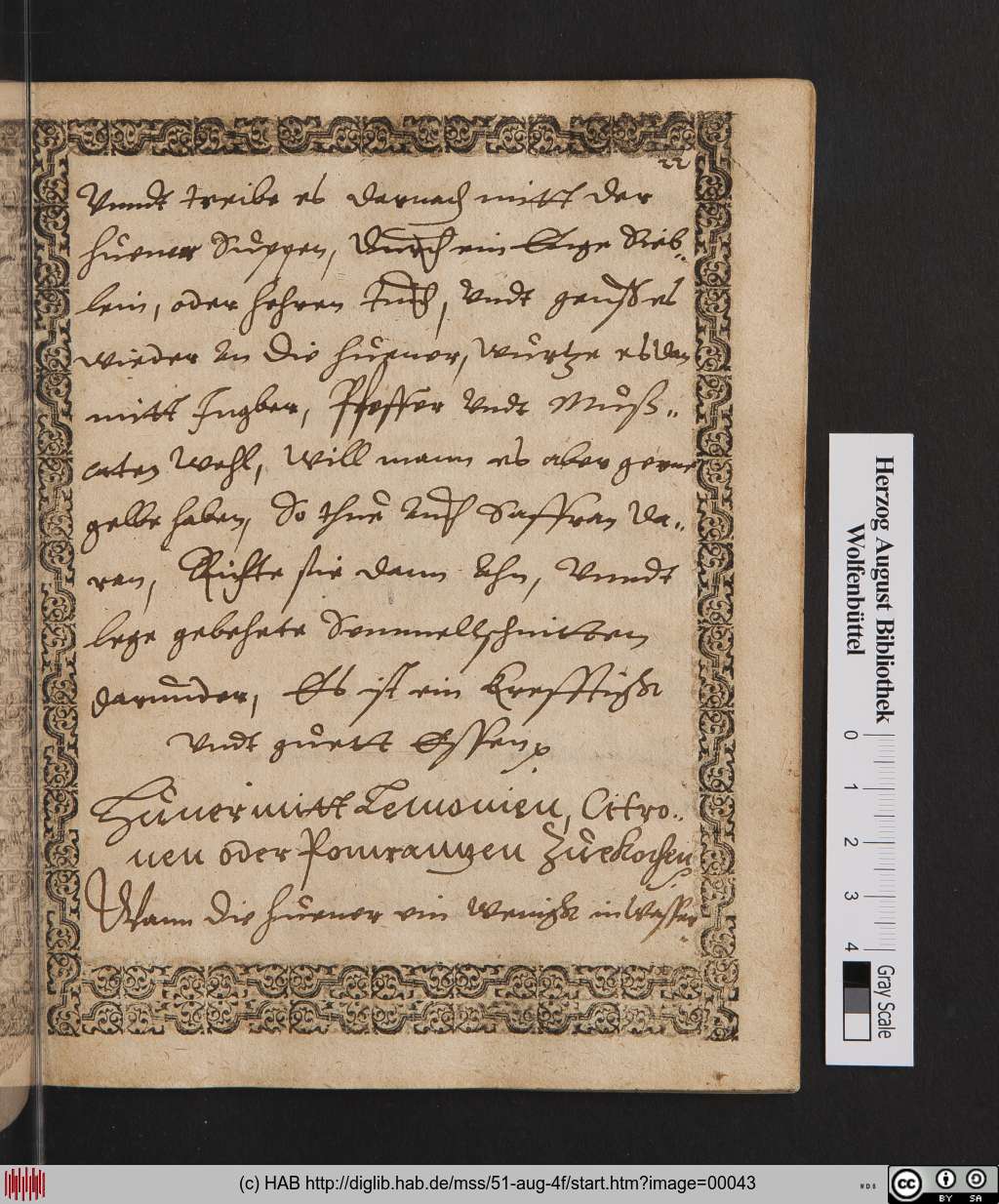 http://diglib.hab.de/mss/51-aug-4f/00043.jpg