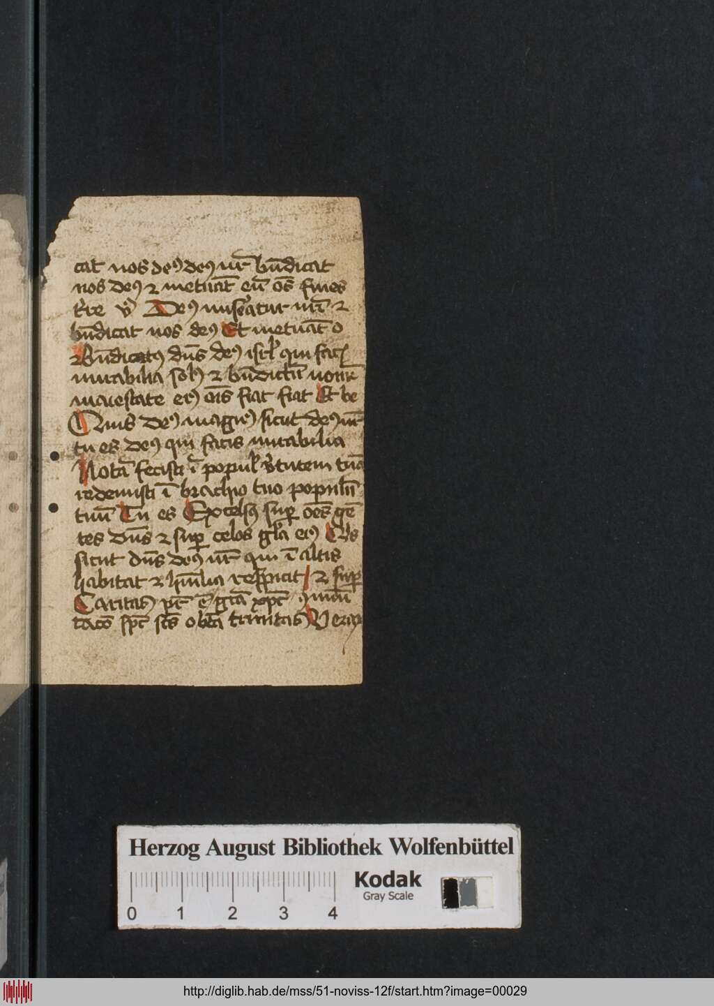 http://diglib.hab.de/mss/51-noviss-12f/00029.jpg