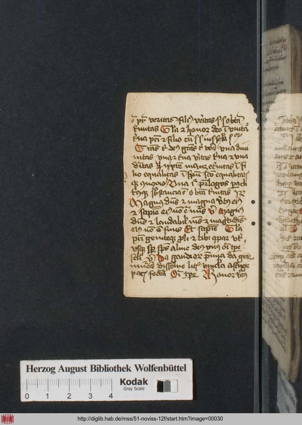 http://diglib.hab.de/mss/51-noviss-12f/00030.jpg