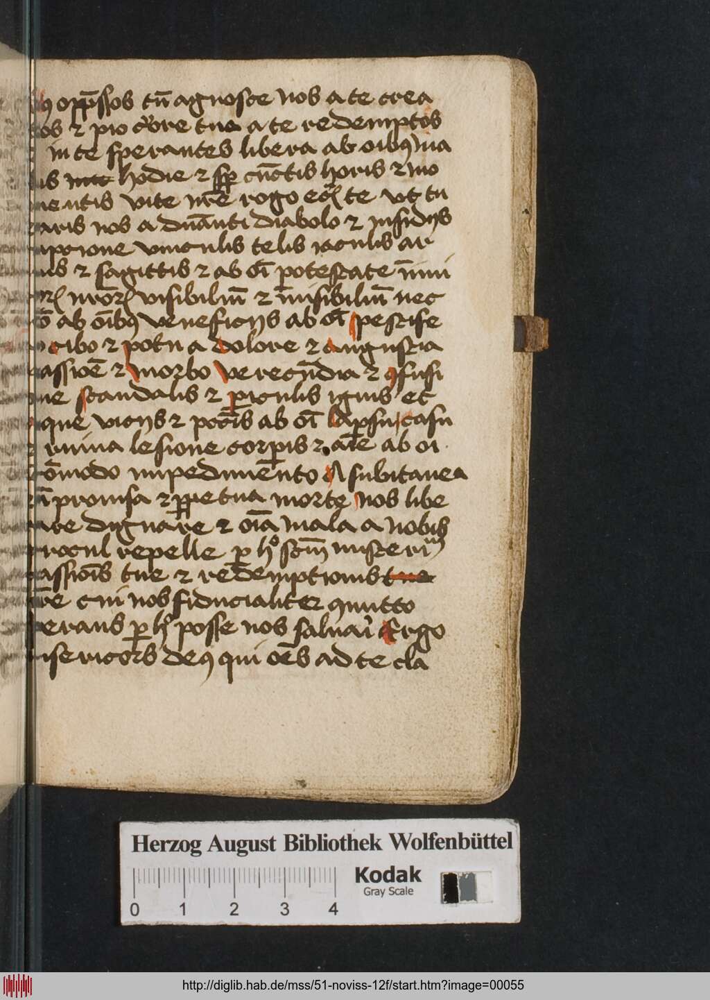 http://diglib.hab.de/mss/51-noviss-12f/00055.jpg