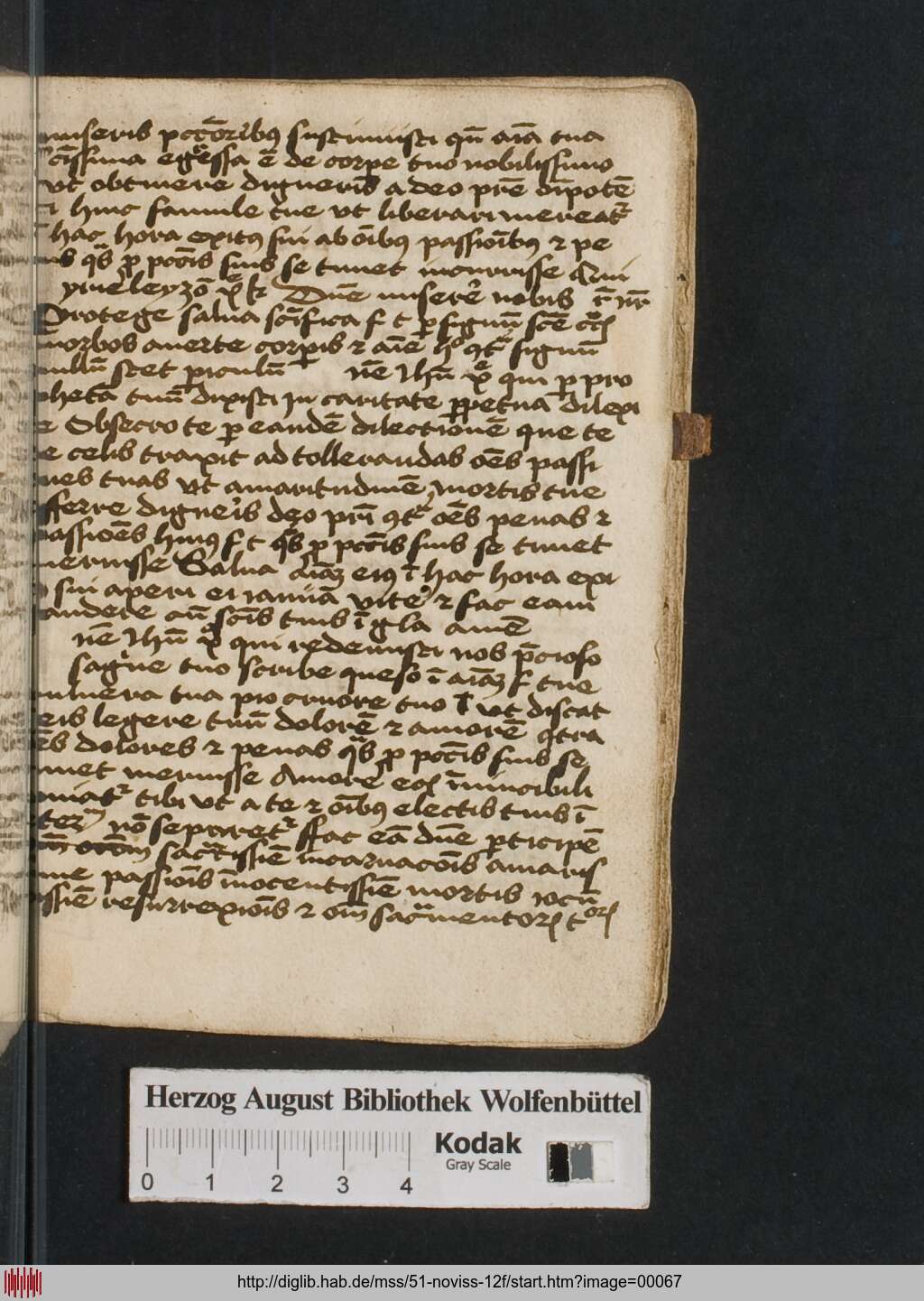 http://diglib.hab.de/mss/51-noviss-12f/00067.jpg