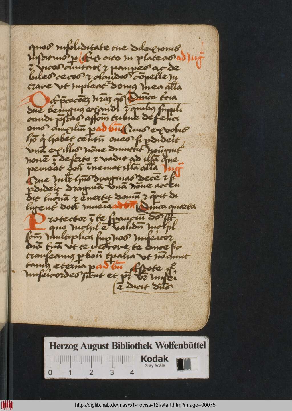 http://diglib.hab.de/mss/51-noviss-12f/00075.jpg