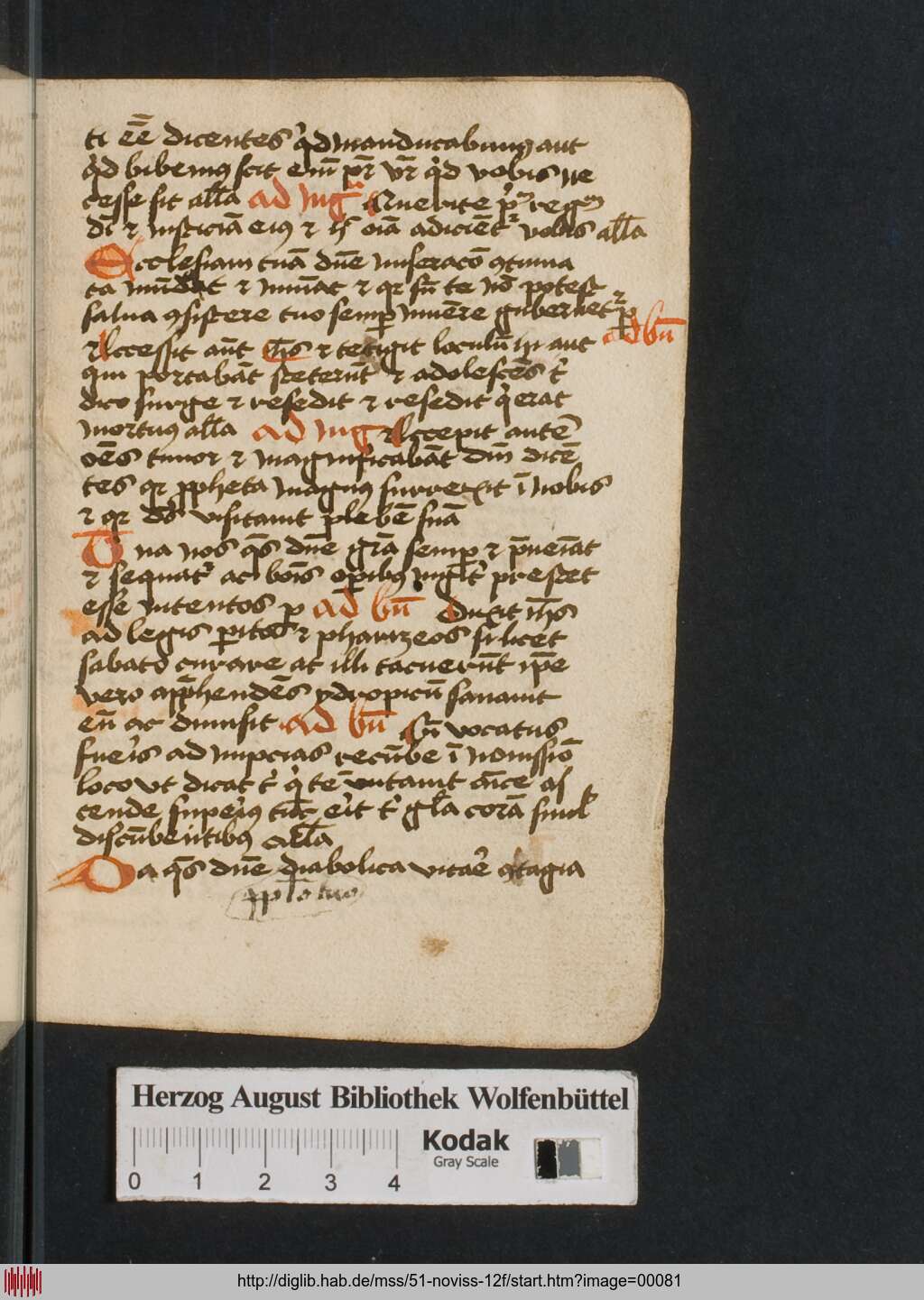 http://diglib.hab.de/mss/51-noviss-12f/00081.jpg