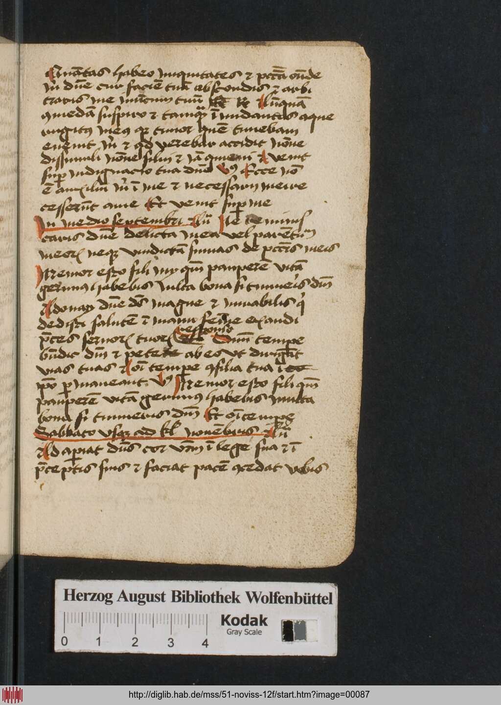 http://diglib.hab.de/mss/51-noviss-12f/00087.jpg