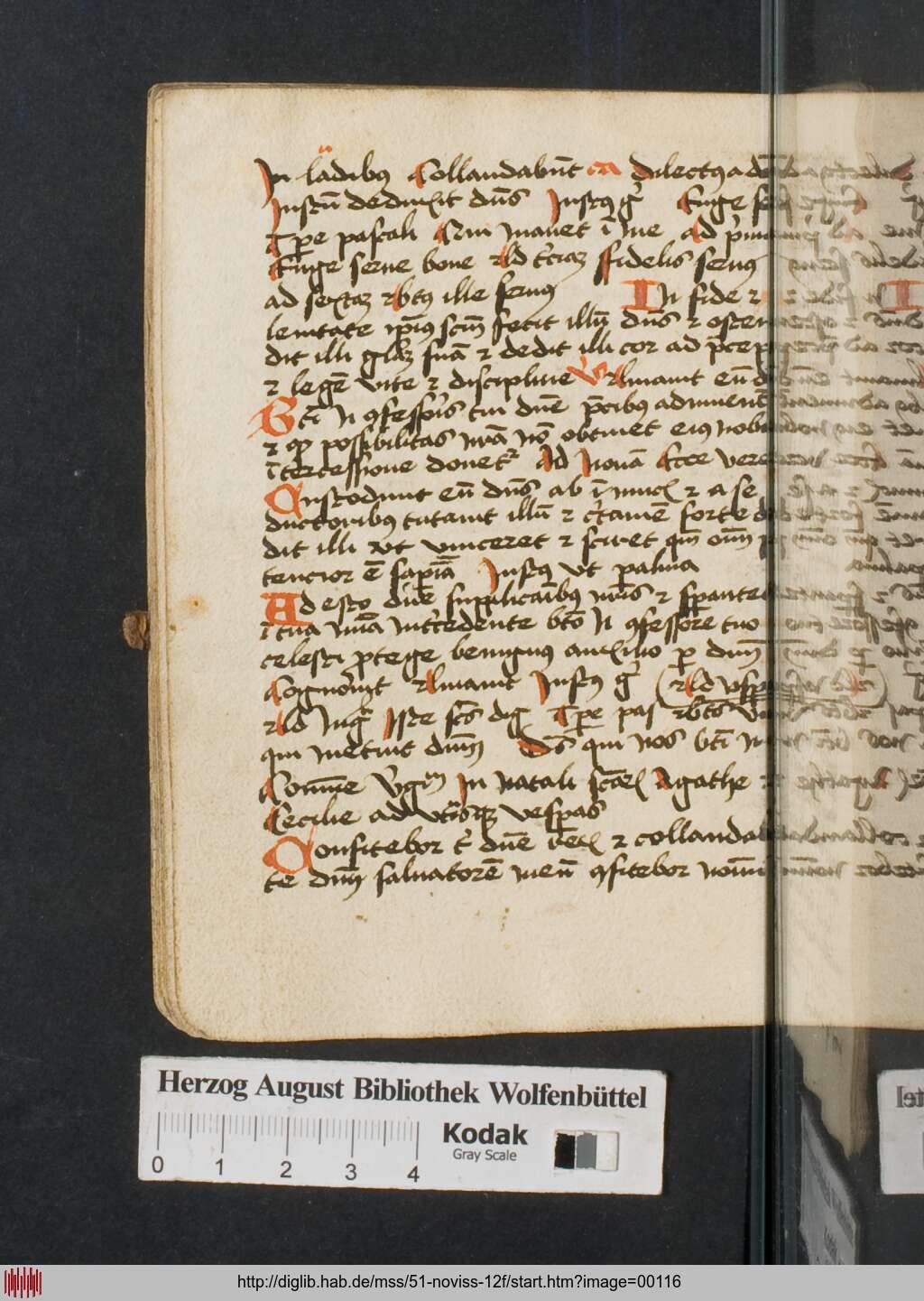 http://diglib.hab.de/mss/51-noviss-12f/00116.jpg