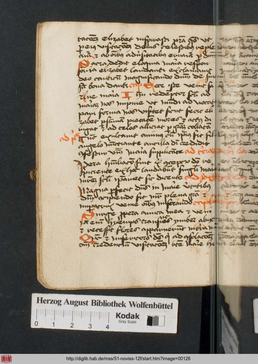 http://diglib.hab.de/mss/51-noviss-12f/00126.jpg