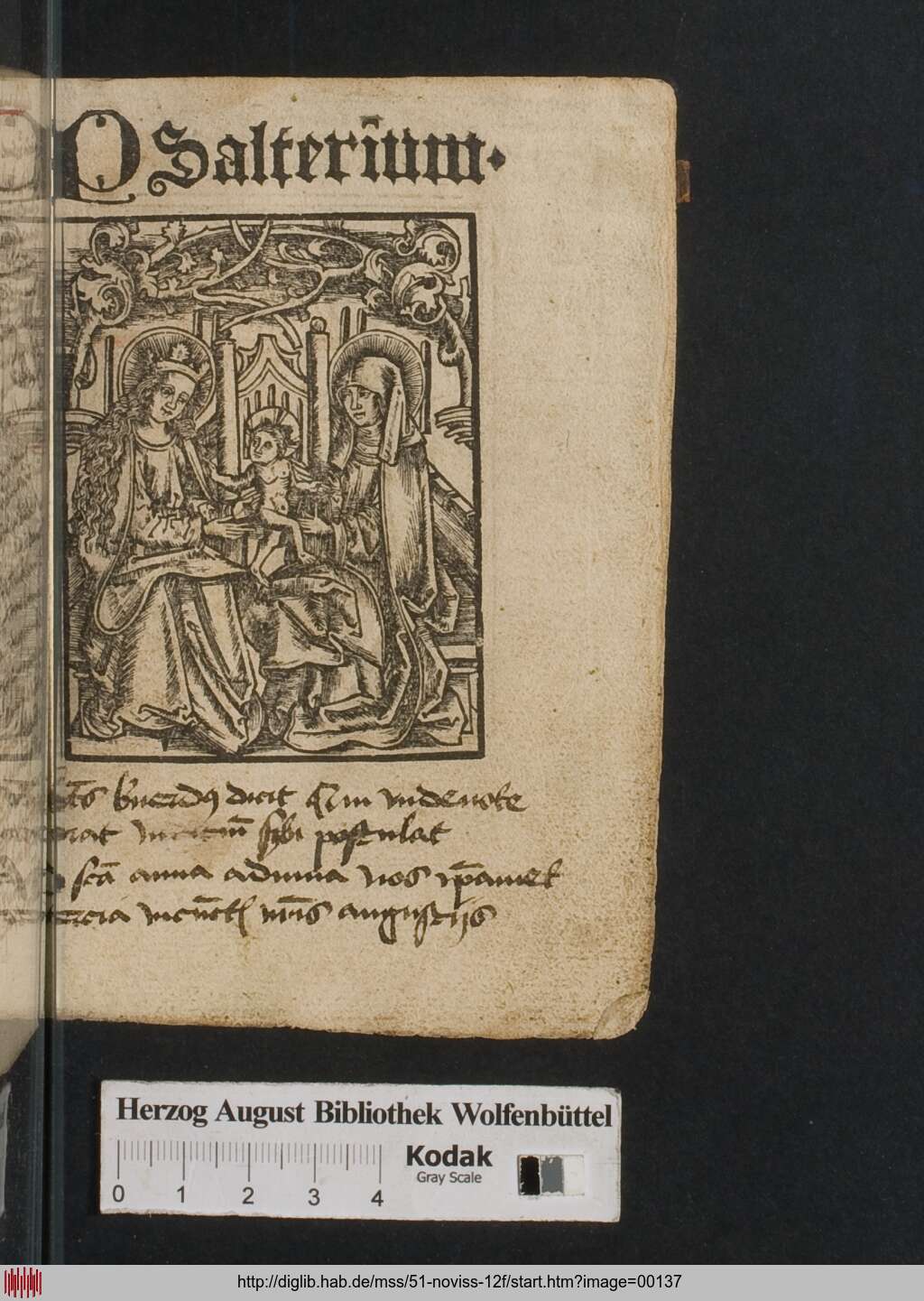 http://diglib.hab.de/mss/51-noviss-12f/00137.jpg