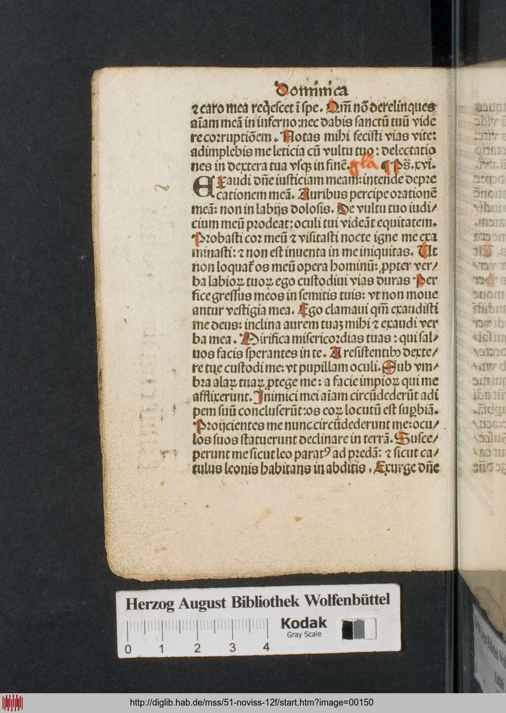 http://diglib.hab.de/mss/51-noviss-12f/00150.jpg