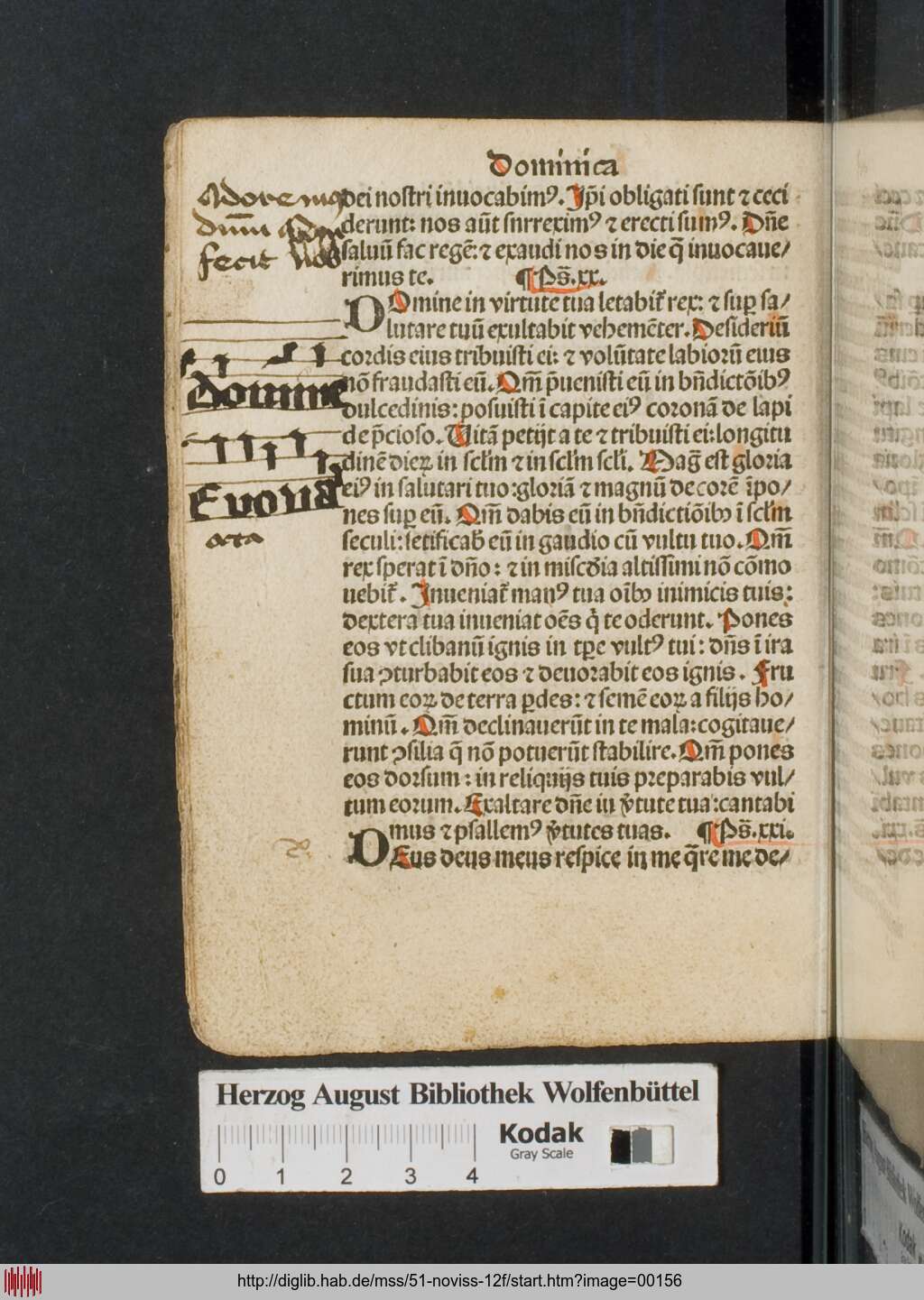 http://diglib.hab.de/mss/51-noviss-12f/00156.jpg