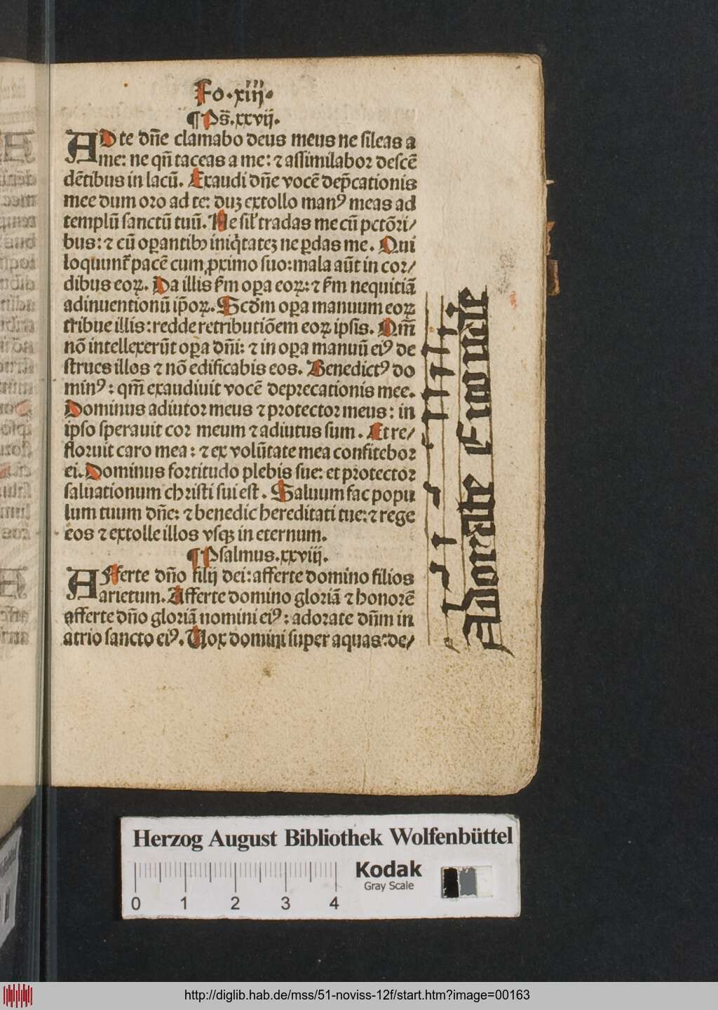 http://diglib.hab.de/mss/51-noviss-12f/00163.jpg