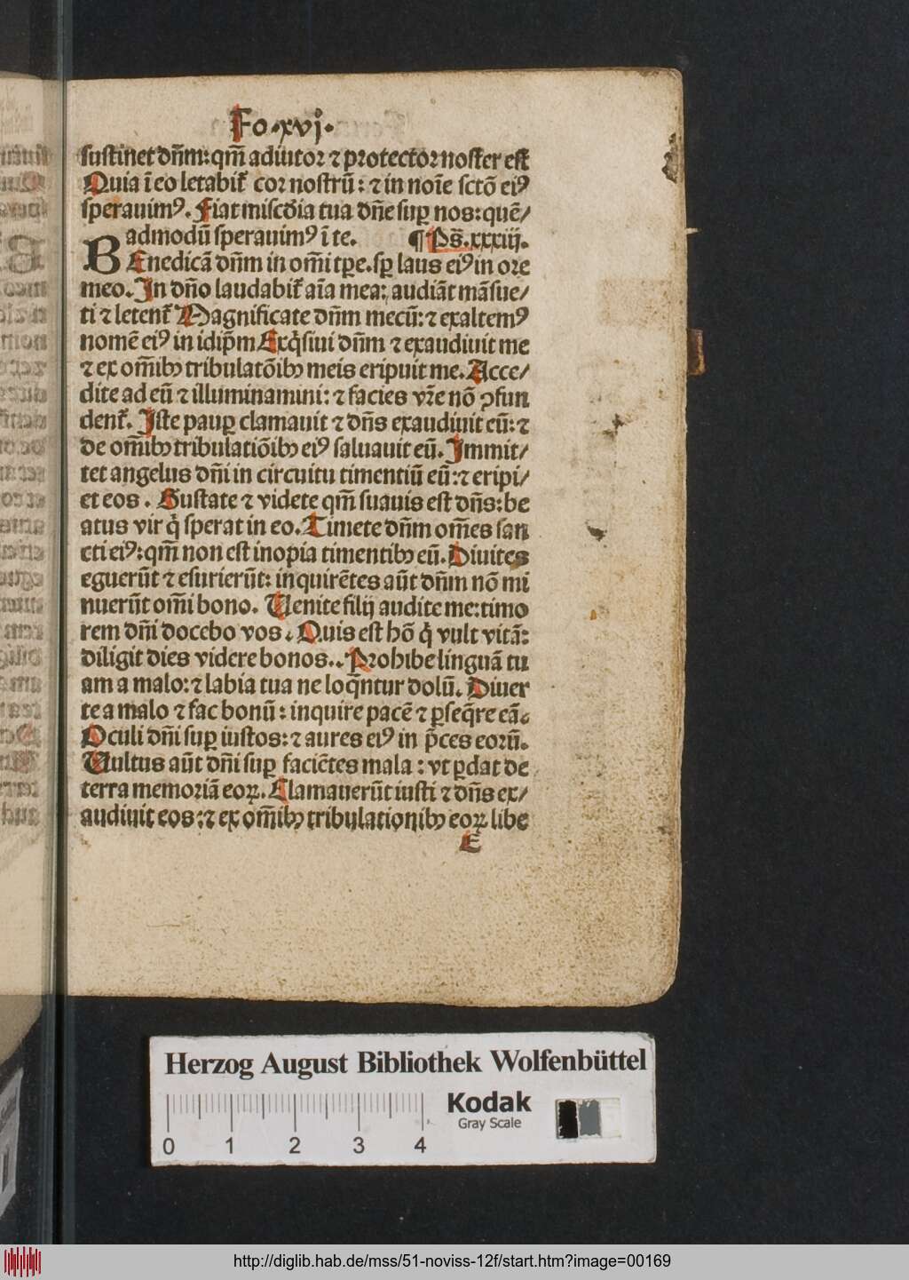 http://diglib.hab.de/mss/51-noviss-12f/00169.jpg