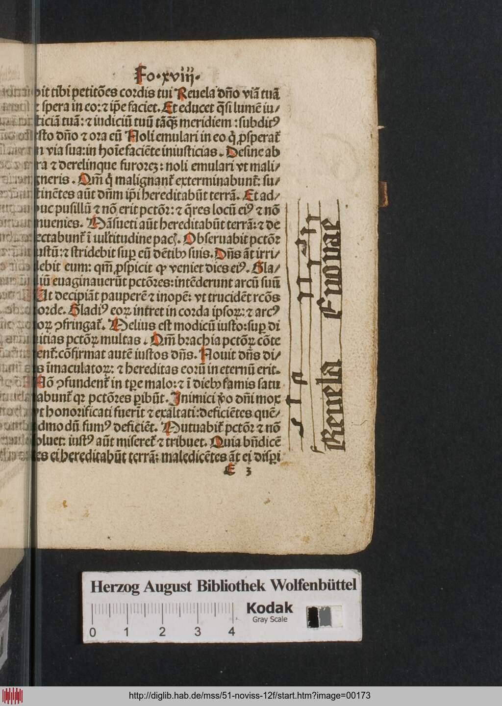 http://diglib.hab.de/mss/51-noviss-12f/00173.jpg