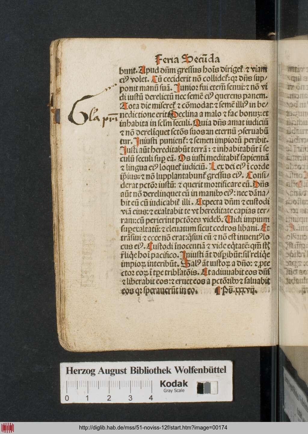 http://diglib.hab.de/mss/51-noviss-12f/00174.jpg