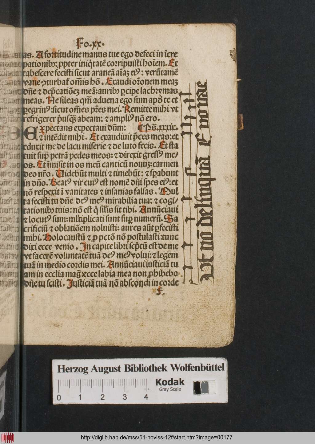 http://diglib.hab.de/mss/51-noviss-12f/00177.jpg