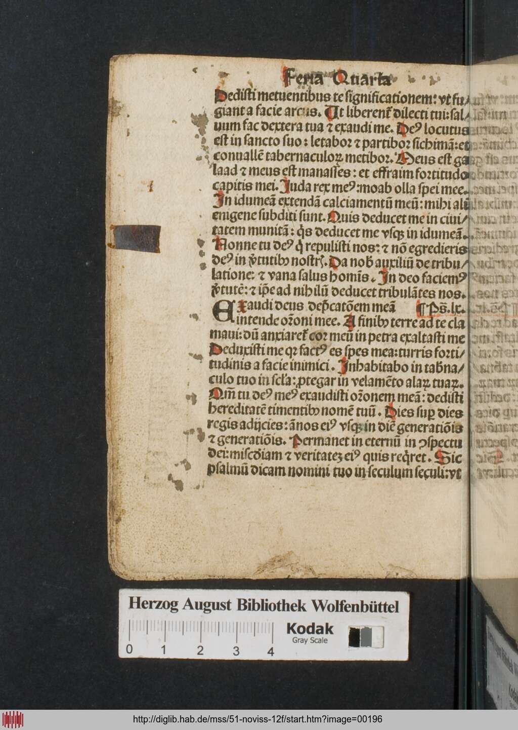 http://diglib.hab.de/mss/51-noviss-12f/00196.jpg